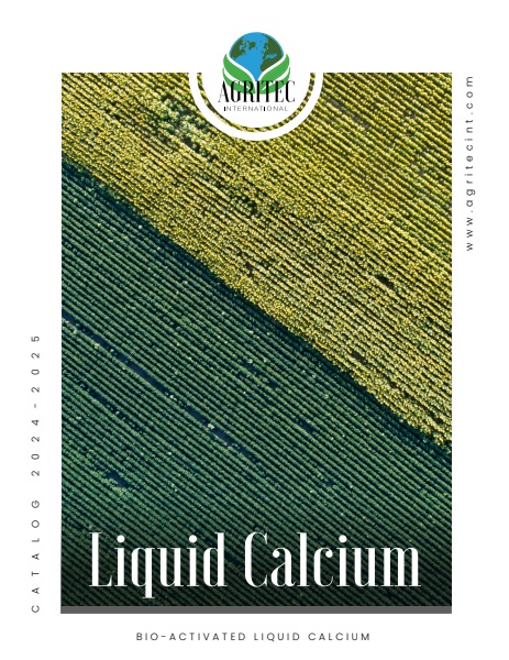 Pro-Cal & Advanced-Cal catalog cover