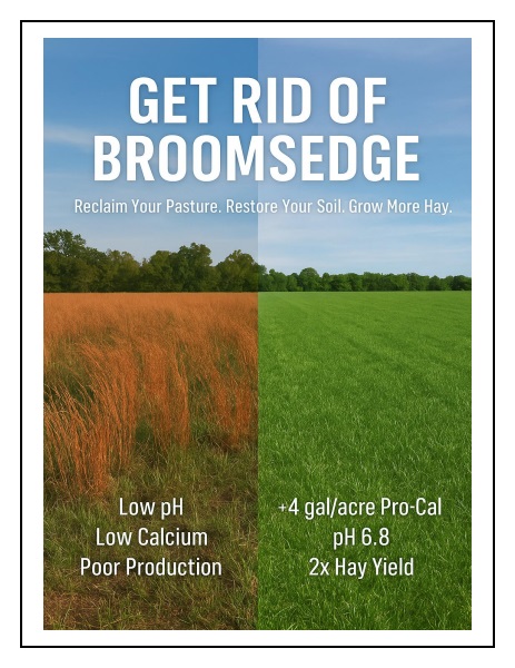 Get Rid of Broomsedge catalog cover