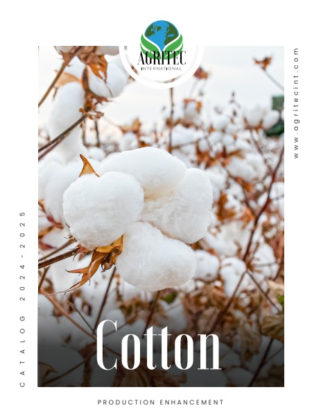 Cotton Catalog catalog cover