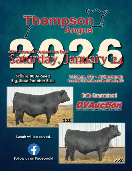 1/24/26 Thompson Angus - Annual Production Sale Video Catalog | DVAuction