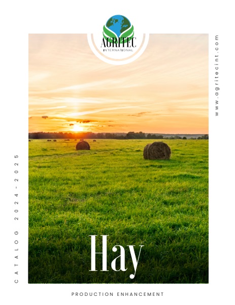 Hay Research catalog cover