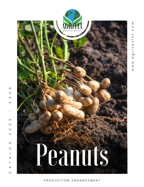Peanut Catalog catalog cover